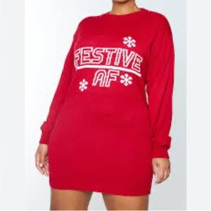 Women’s Holiday sweater dress.